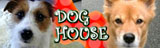 DOG HOUSE��