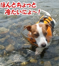 琵琶湖2日目4