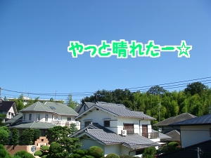 DSC04969