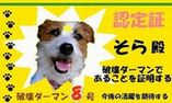 �˲������ޥ�ǧ��ڢ���
