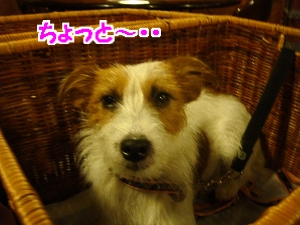 夕食５