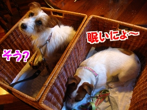 2日目10