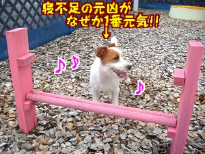 2日目3