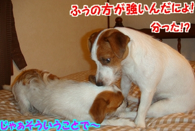お宿夜6