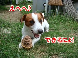 お庭遊び9