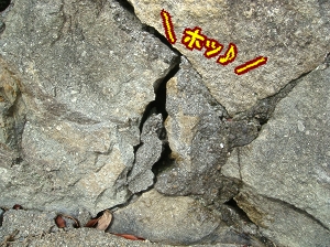 朝散歩15