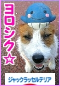ヨロシク☆