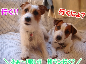 2日目2