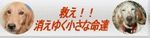 �۵��罸