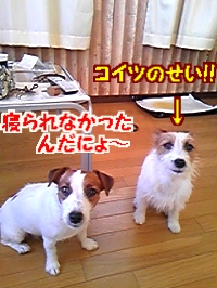 2日目
