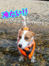 琵琶湖2日目3