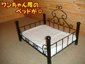 お宿6