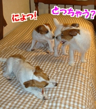 お宿夜4