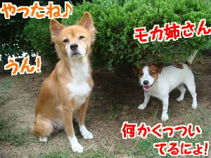 お庭遊び10