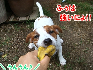 DSC04904