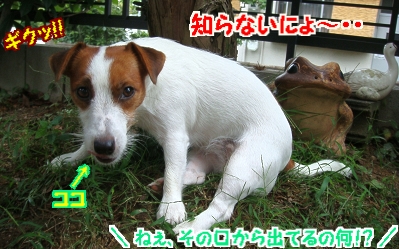 DSC04915