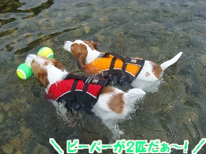 琵琶湖2日目12