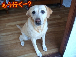 2日目13