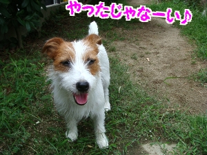 お庭遊び8