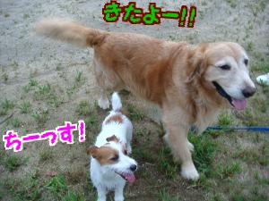 DSC04950