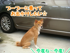 DSC04920