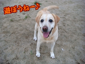 DSC04958
