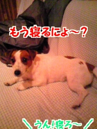 お宿夜9
