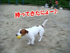 DSC04944