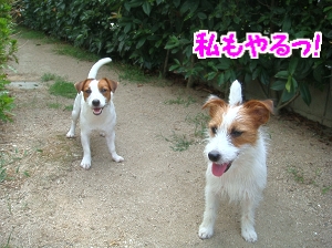 お庭遊び7
