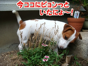 DSC04901