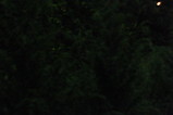61041761.JPG