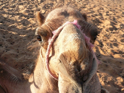 �٥�٥�