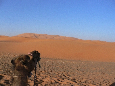�饯��