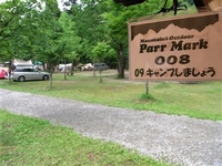 R0010262_R