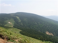 R0016253_R