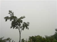 R0010435_R