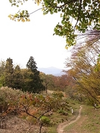 R0018273_R