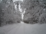 大雪の三瓶山