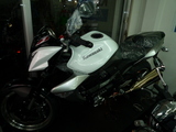 z1000 wht