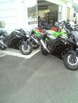 ninja250r.3