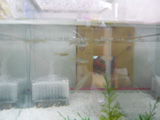 20082503