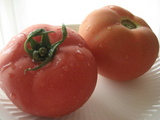 tomato