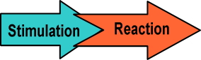 stimulation_reaction
