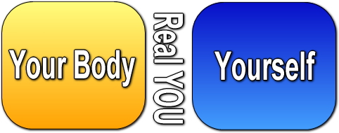 you_body