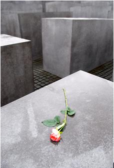 rose_on_cemetary