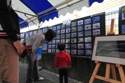 _MG_0391_R