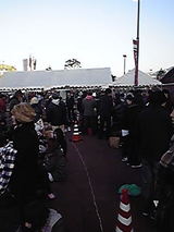 21d50c91.jpg