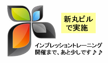 ¥¤¥ó¥×¥ì¥Ã¥·¥ç¥ó¥È¥ì¡¼¥Ë¥ó¥°³«ºÅ