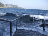 海