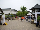 1263353a.JPG